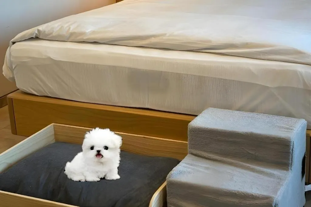 Benikea The Bliss Hotel Incheon 4*,