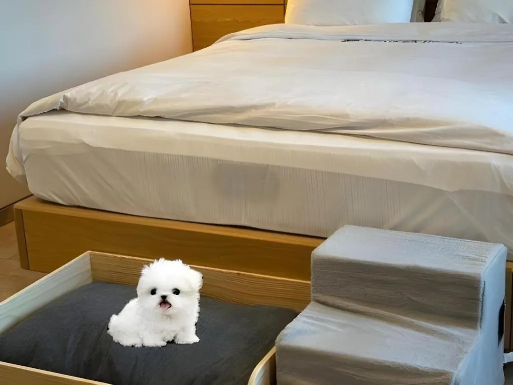 Benikea The Bliss Hotel Incheon